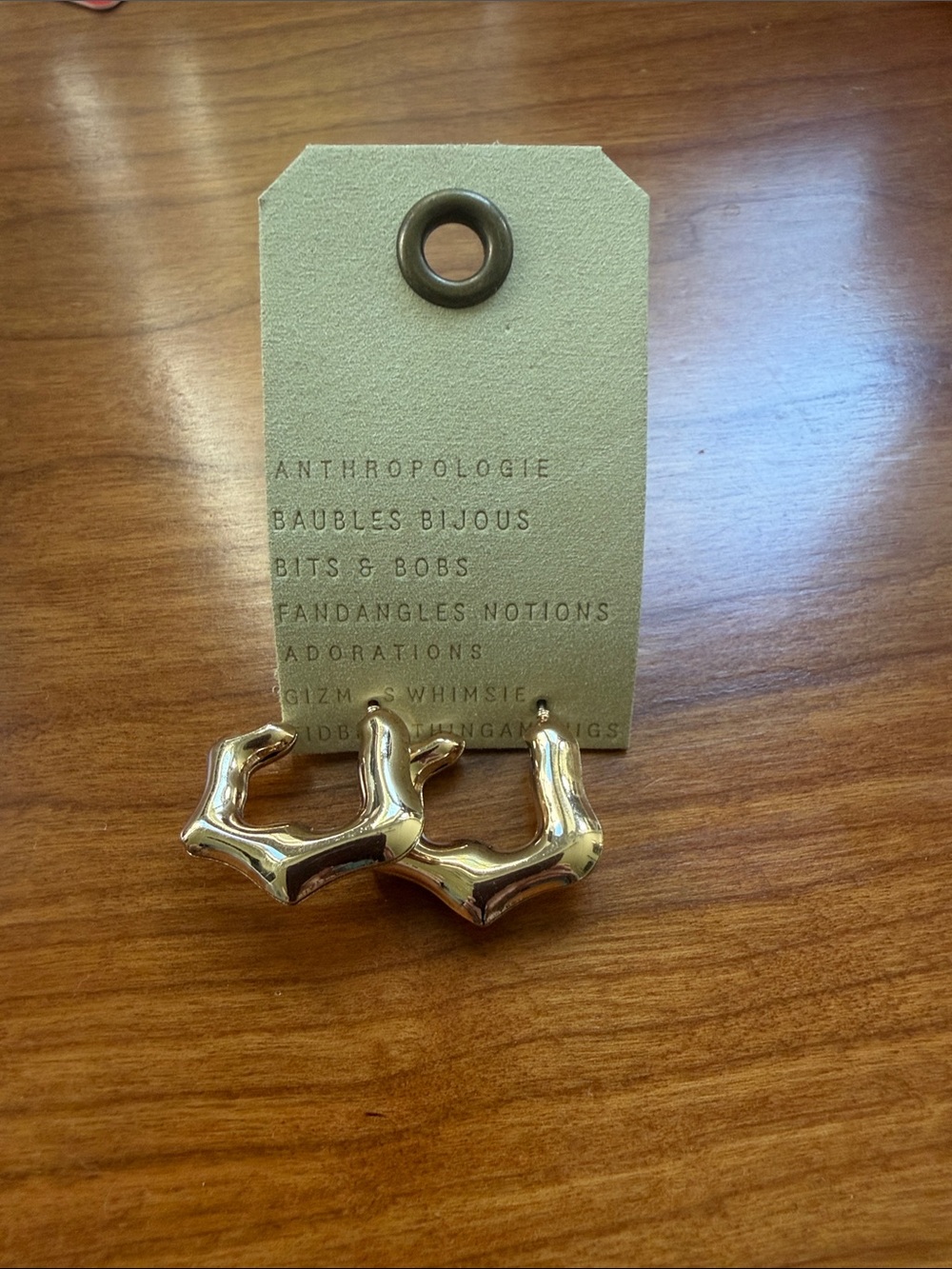 Anthropologie hoop earrings